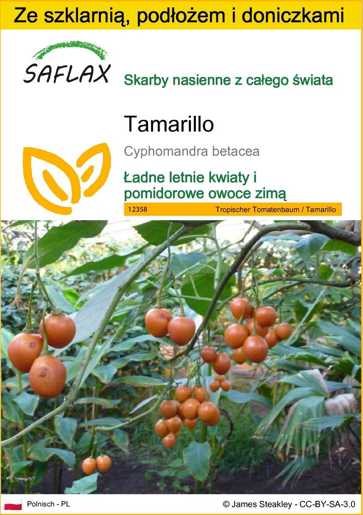 SAFLAX - Zestaw do uprawy - Tamarillo - 50 Nasiona - Z mini Zdjęcie produktu 