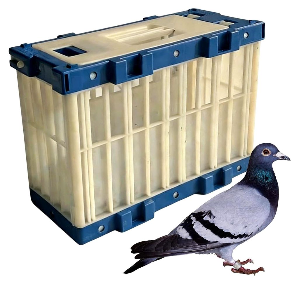 Taubenkäfig - Transportbox mit Schloss für Sittiche und Papageien, atmungsaktiver Vogelkäfig für Transport, Training, Freilassung | Vogeltrageb...