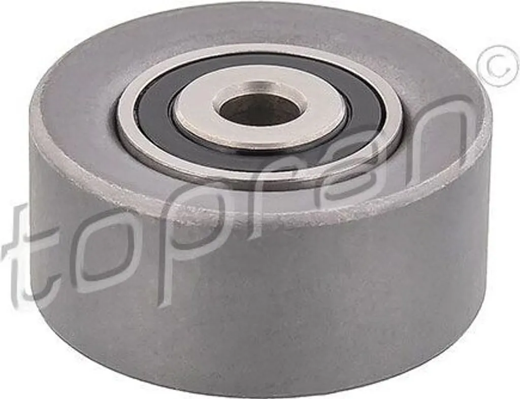 Stop Bruit Courroie : Poulie de Renvoi 1611422980 pour Citroën Peugeot