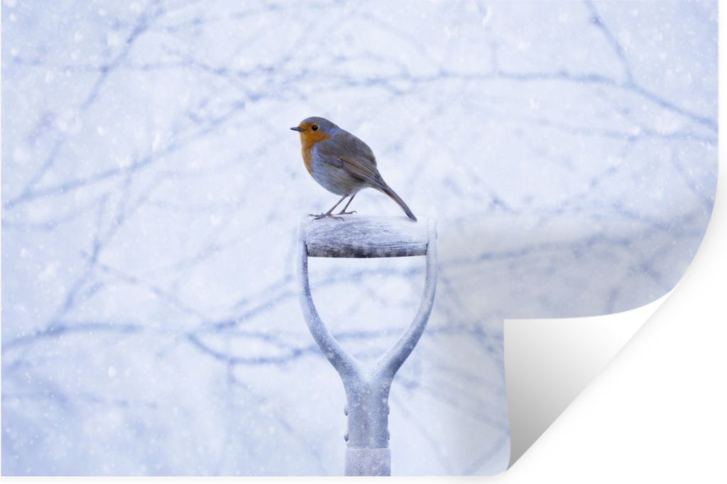 MuchoWow Wandtattoo Wandsticker Wandaufkleber Rotkehlchen - Winter - Garten 30x20 cm Selbstklebend und Repositionierbar - Wierderverwendbar - Sel...