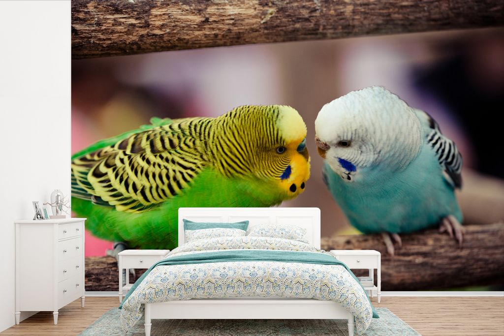MuchoWow Fototapete für Wohnzimmer oder Schlafzimmer Wandtapete Vinyl Motivtapete Zwei Sittiche - 525x350 cm - Das Hintergrundbild