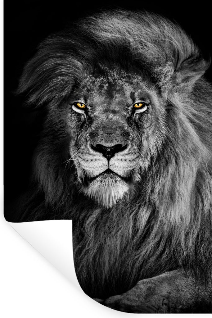 MuchoWow Wandtattoo Wandsticker Wandaufkleber Löwe - Augen - Orange - Schwarz und weiß - Tiere - Porträt 20x30 cm Selbstklebend und Reposition...