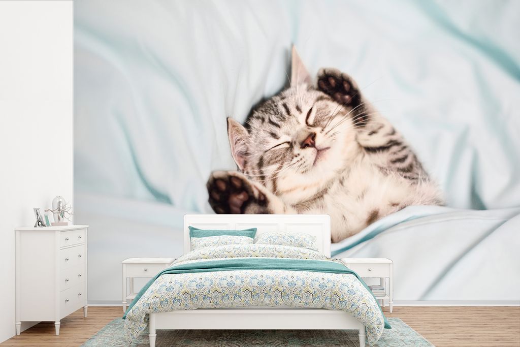 MuchoWow Fototapete für Wohnzimmer oder Schlafzimmer Wandtapete Vinyl Motivtapete Kätzchen - Lustig - Bett - Kinder - Jungen - Mädchen - Kinde...