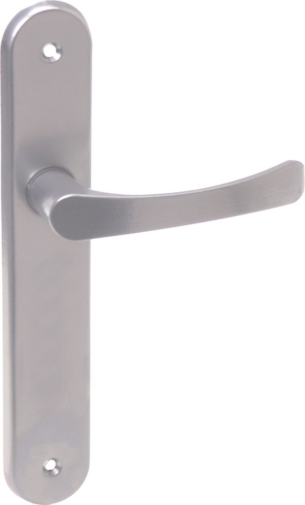 A silver door handle set with a long backplate, shown against a white background.