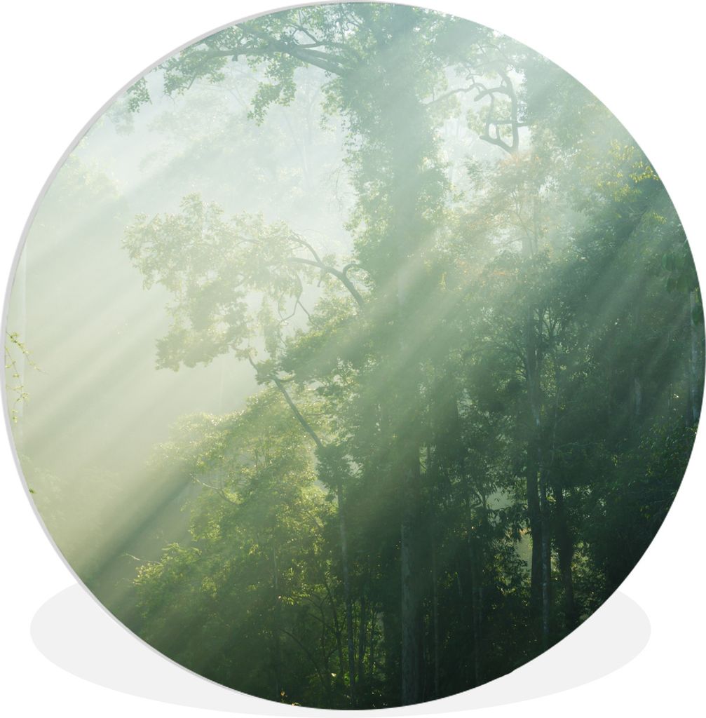 MuchoWow Rundes Wandbild - Runde Bilder Sonnenstrahlen in einem grünen Wald in Malaysia Ø 30 cm Kreis Wanddekoration Kunststoff - Wandkreis - W...
