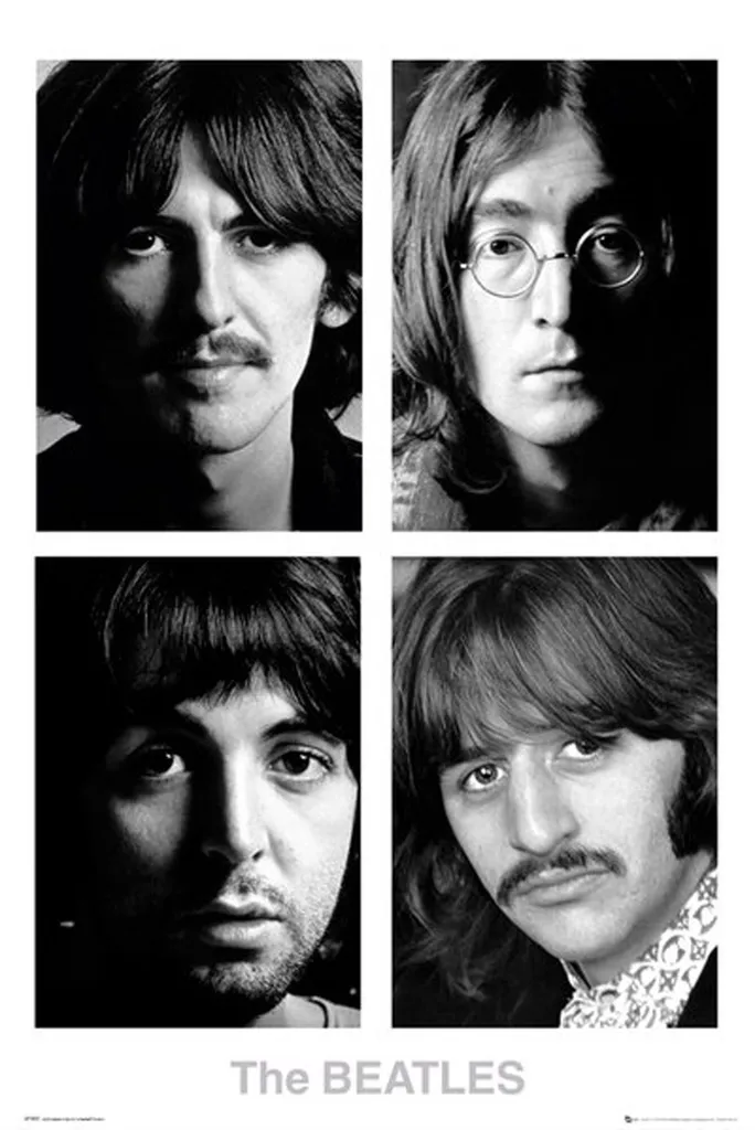 Idea Regalo: Poster Beatles White Album + Binari Alluminio per Appendere