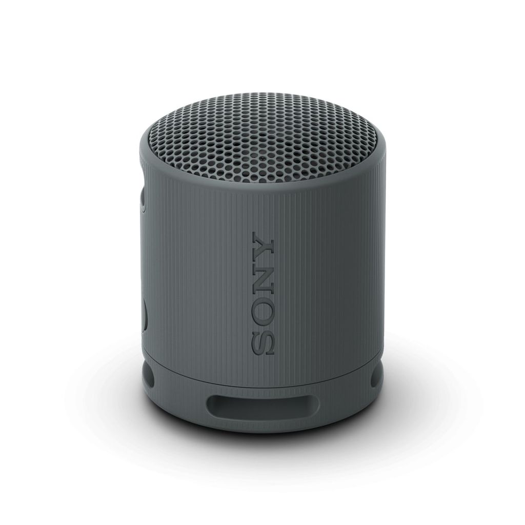 Sony SRS-XB100 Mono-Lautsprecher Tragbarer