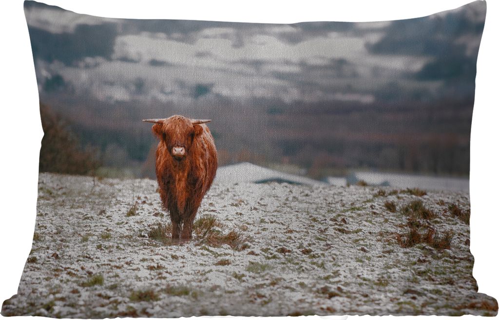 MuchoWow Outdoor Kissen - Schottisches Hochlandrind - Schnee - Berg - 50x30 cm - Wetterfest - Lounge Kissen - Sofa kissen - Wohnzimmer Dekoration