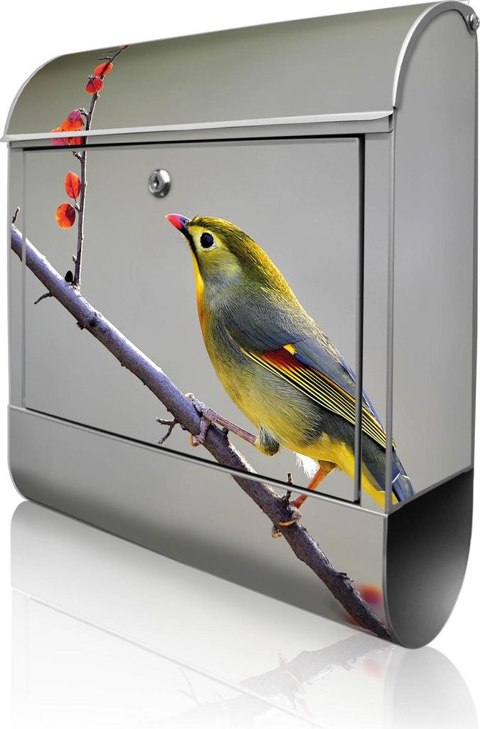 banjado Design Briefkasten Stahl silber mit Zeitungsfach pulverbeschichtet "Herbst Vogel" 38x46x12,5cm & 2 Schlüssel - Postkasten A4 Einwurf inkl....