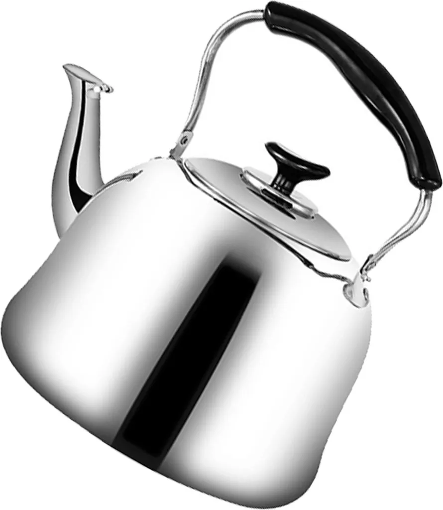 Théière 2L en Inox Sifflante - Bouilloire Ébullition Rapide + Filtre