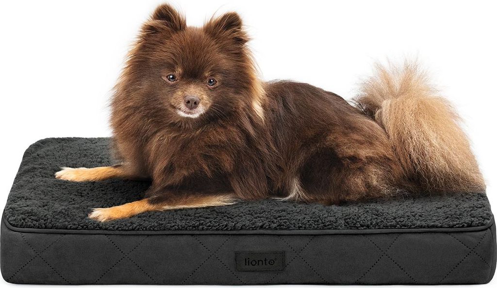 lionto Hundebett, orthopädisches Bett mit Plüschoberfläche & WildKunstleder, abnehmbarer Bezug & Tragegriff, 60x40x8 cm, schwarz