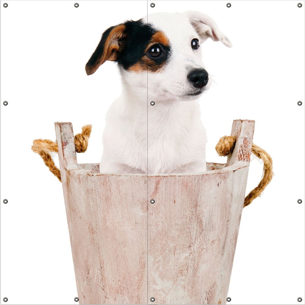 Wallario Outdoor-Poster für Garten oder Balkon, Motiv Hunde-Welpe Jack Russel Terrier in einem Holzeimer, in ca. 180 x 180 cm