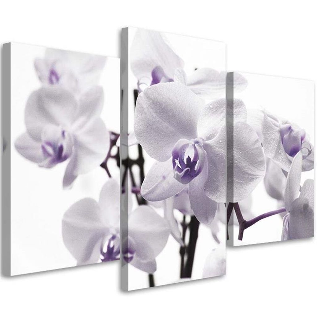 Triptychon auf leinwand weiße lila orchidee 60x40 cm Feeby lila wandbild bereit zum aufhängen