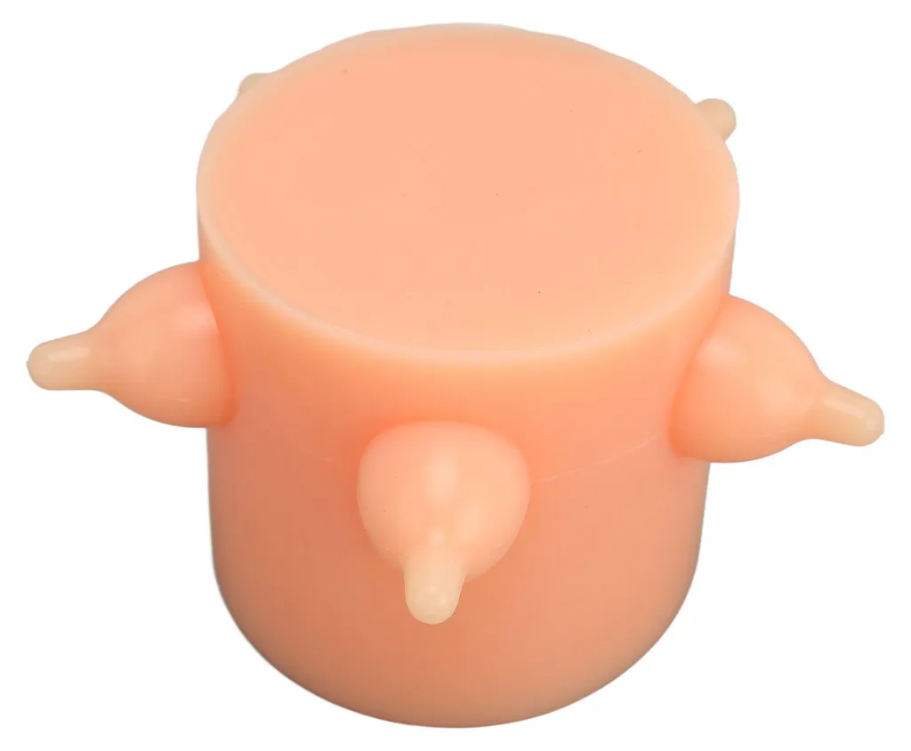 Nourrir plusieurs chatons simultanément avec ce distributeur de lait
