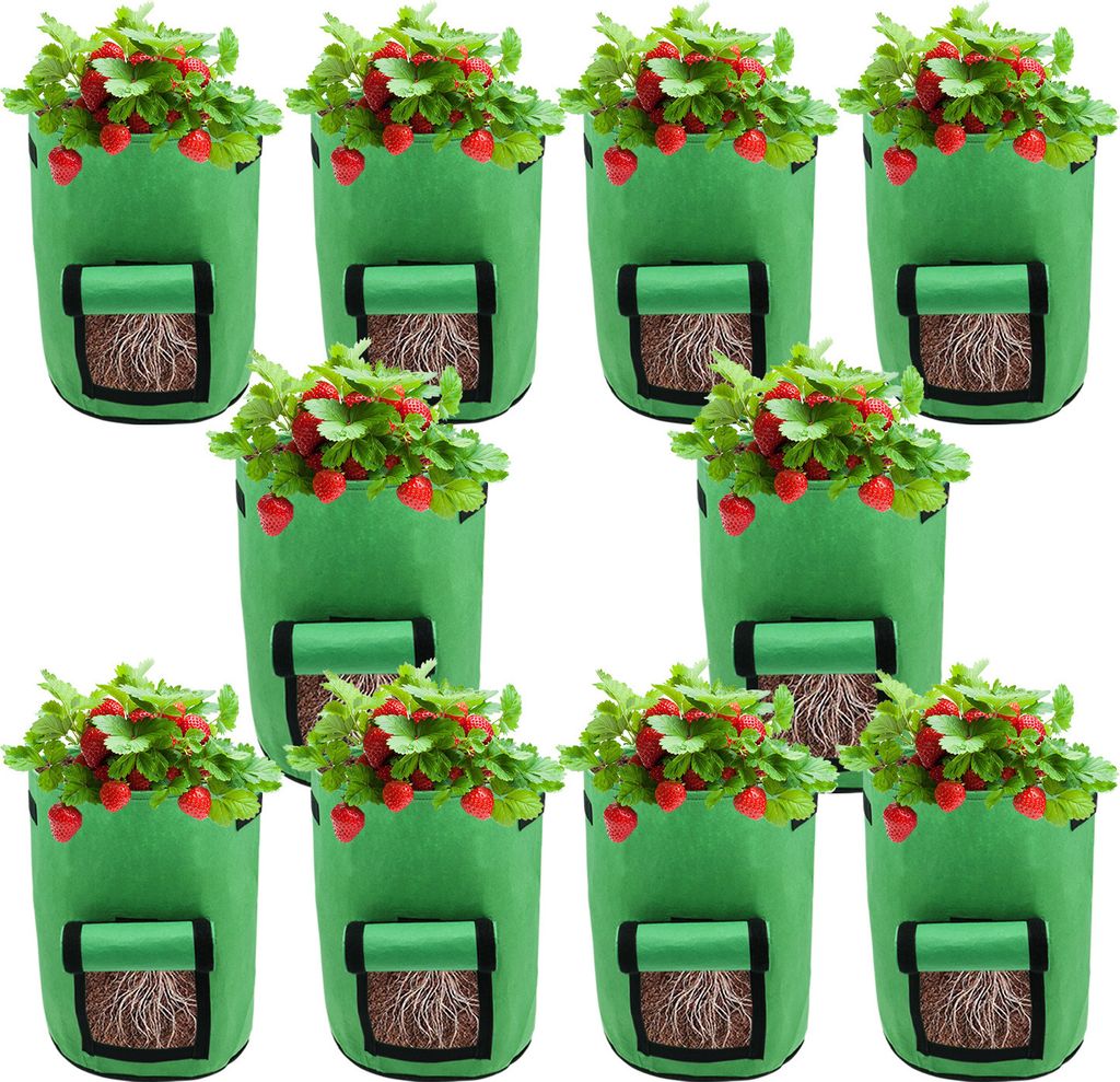 Jopassy Pflanzsack Pflanztasche Kartoffel Tomaten Erdnüsse Vliesstoff Atmungsaktiv Pflanzbeutel Gemüse Beutel 10 Stück 10 Gallone Grün