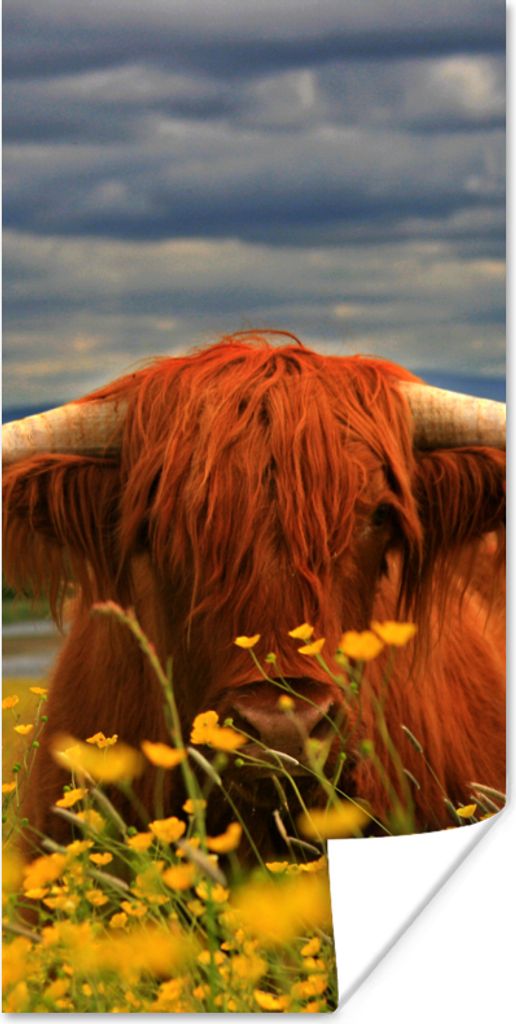 MuchoWow Poster Schottischer Highlander - Tiere - Blumen 60x120 cm - Wandschmuck