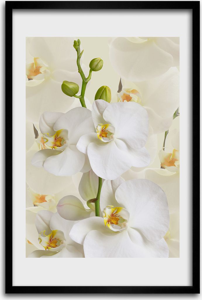 Bild - Bilderrahmen - 40 cm x 60 cm - MDF - Rahmen - Wandkunst - Weiße Orchidee