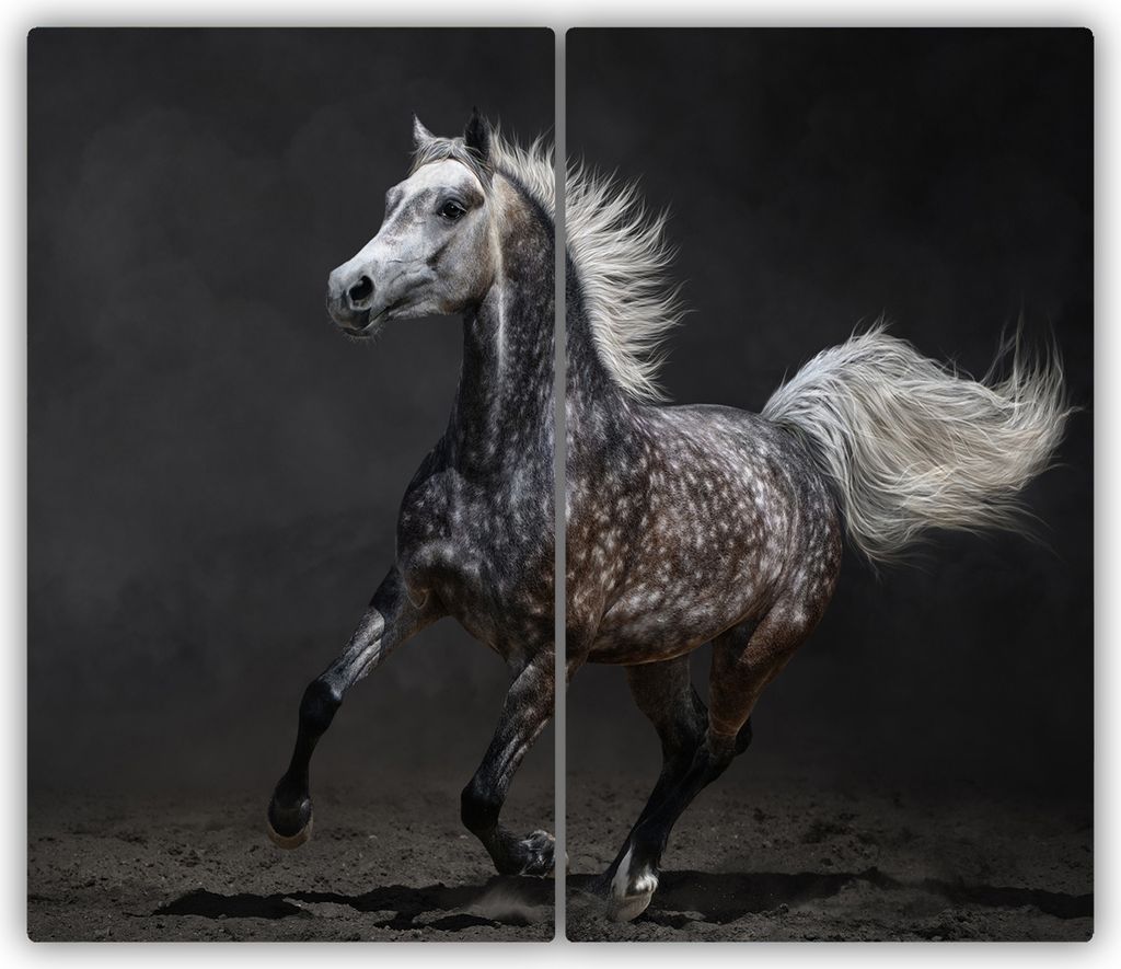 Tulup Glas-Herdabdeckplatte - 2x30x52cm - Glaskeramikkochfeld-Abdeckung Spritzschutz Zweiteilig Arabisches Pferd