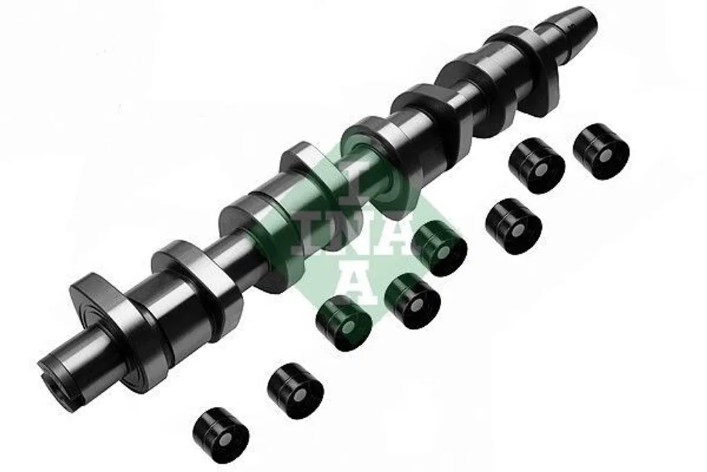 INA Kit Arbre à Cames complet pour Audi A4 B7 et VW Passat B6 Diesel