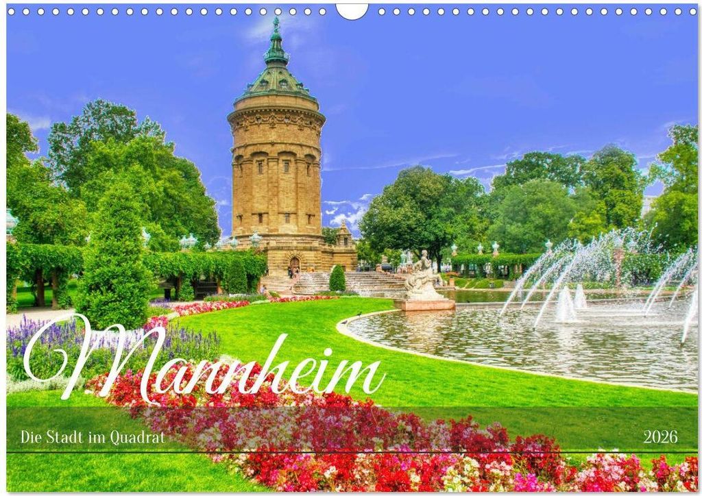 Mannheim - Die Stadt im Quadrat (Wandkalender 2026 DIN A3 quer), CALVENDO Monatskalender