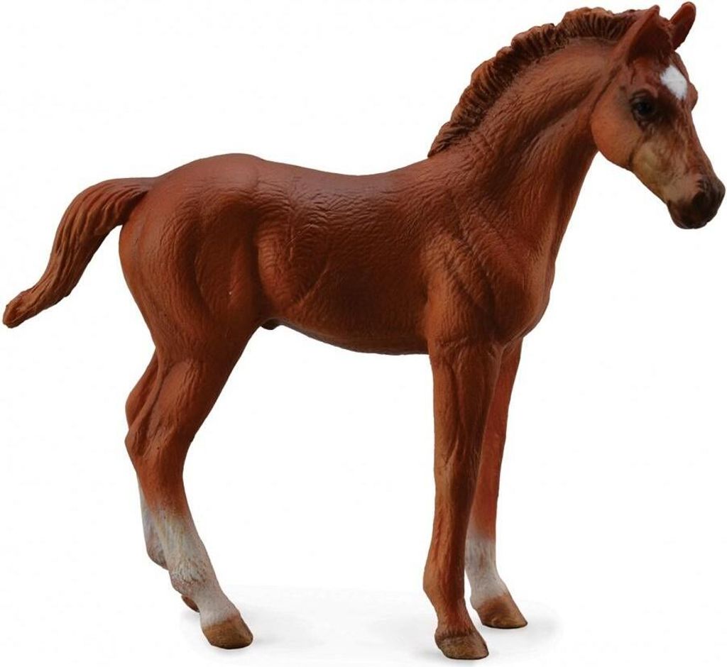 Collecta 88671 Vollblutfohlen stehend braun 10 cm Pferdewelt