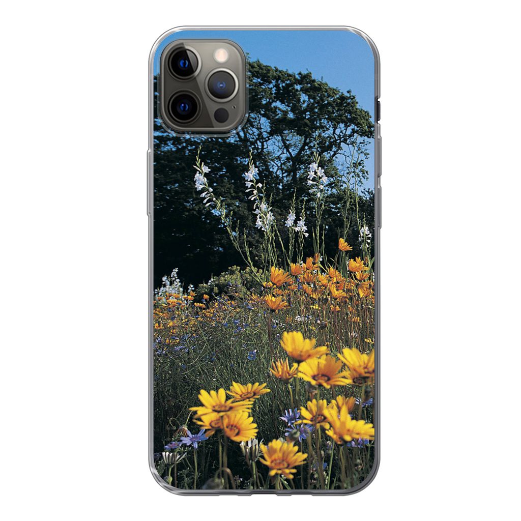 MuchoWow Handyhülle Schutzhülle Hülle für iPhone 12 Pro Max Blumen - Natur - Farbe Silikon Softcase Handy Hülle - Hartschale