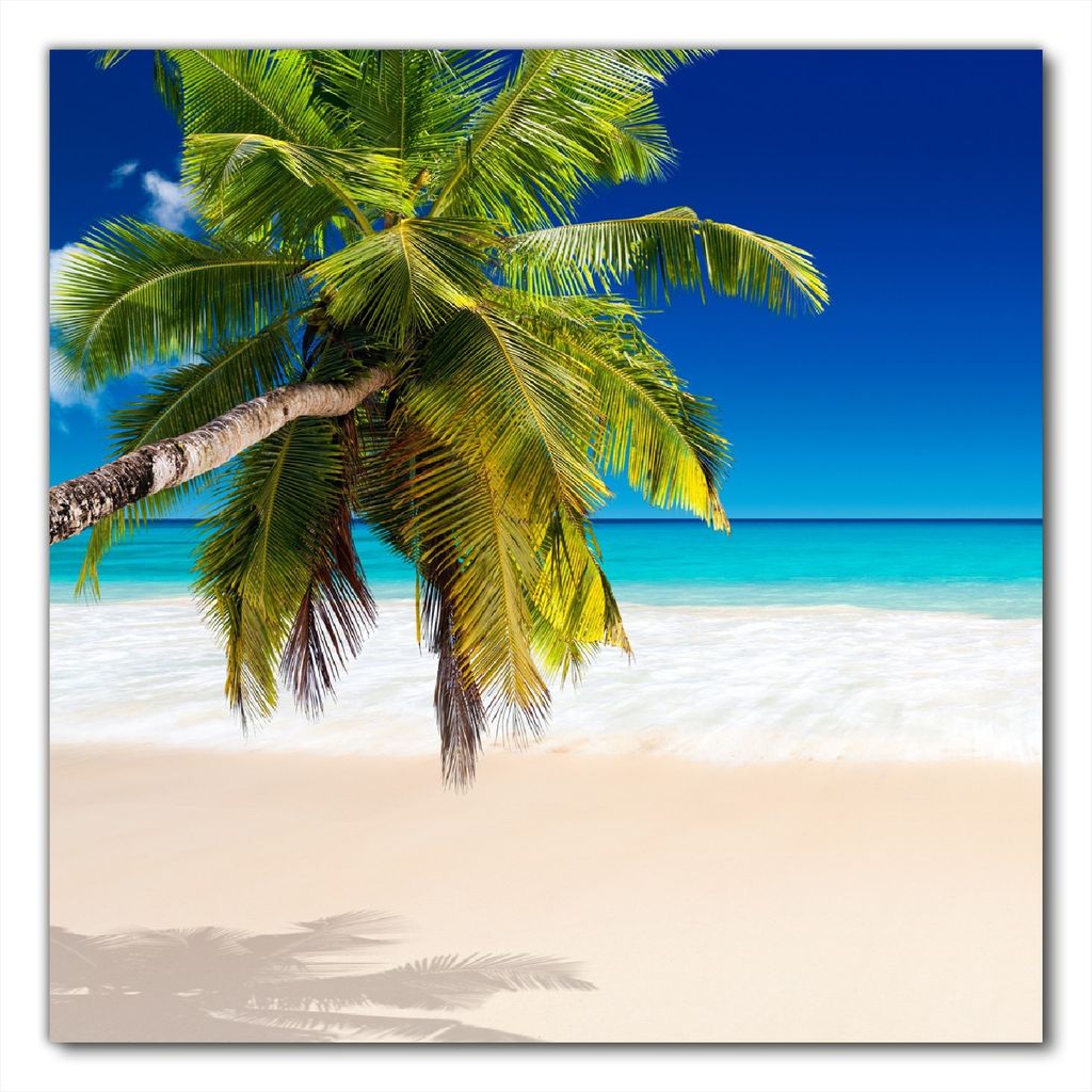 Wallario selbstklebende Möbelfolie/ Tischdecke für Innen und Außen, Größe: 90 x 90 cm - Südseestrand in der Karibik mit Palme