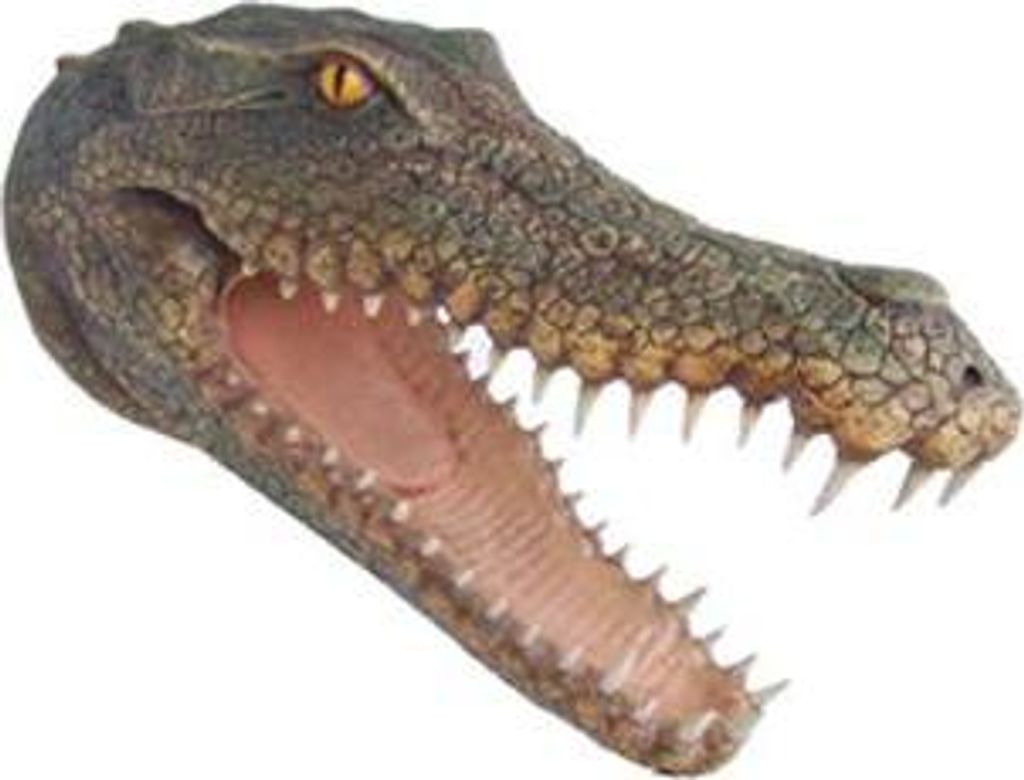 Skulptur Krokodil Wand reptilien Skulpturen Figuren Statuen Skulptur Statue 80cm