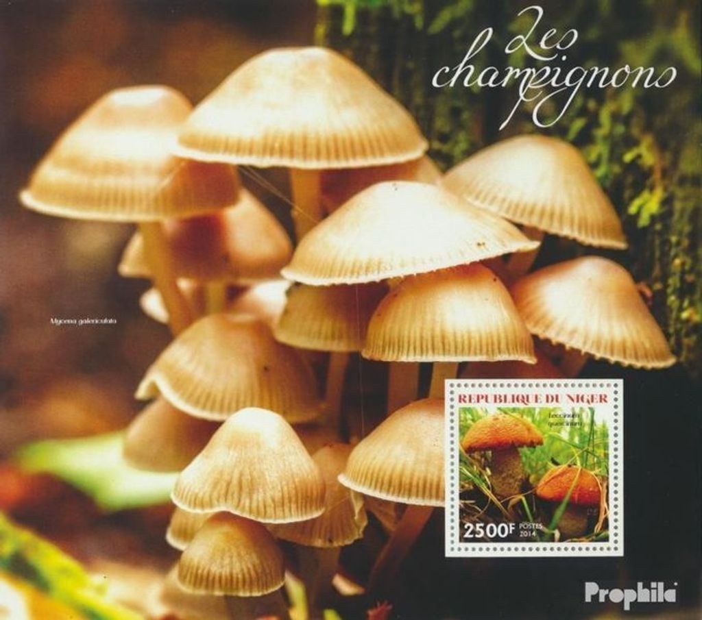 Briefmarken Niger 2014 Mi Block 326 (kompl. Ausg.) postfrisch Pilze