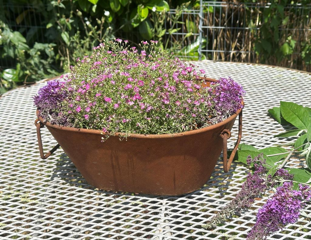 Edelrost Wanne zum Bepflanzen 23x53cm Rost Pflanzwanne Blumentopf Windlicht Edelrost Gartendeko