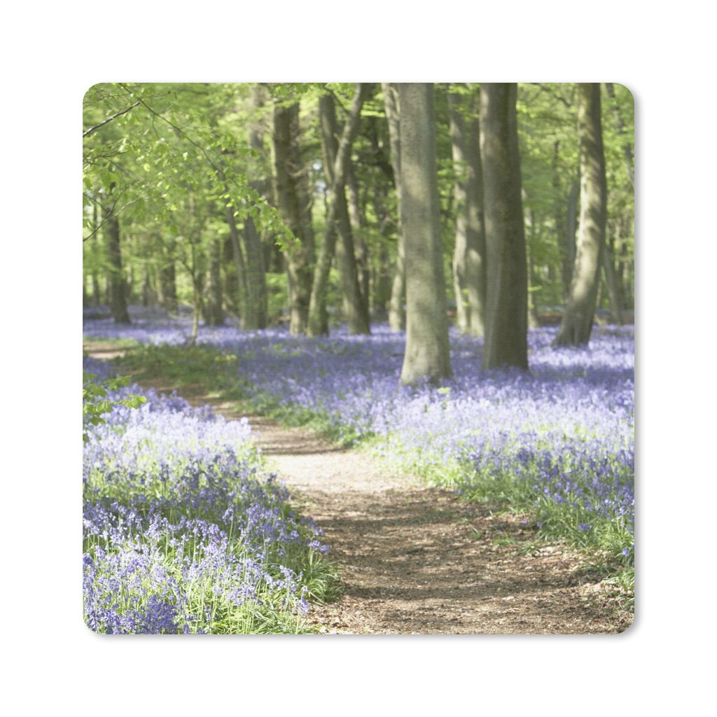 MuchoWow Mauspad Mousepad Wald - Weg - Blumen - Lila - Grün - Natur 20x20 cm - Mousepads - Maus Mat - Pad - Mausunterlage - Desk Mat - Bureauart...