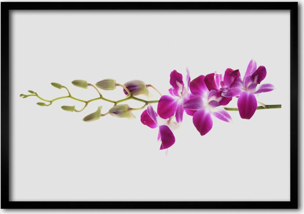 Bild 100x70 MDF-Rahmen Wandkunst Blumen Pflanzen Natur