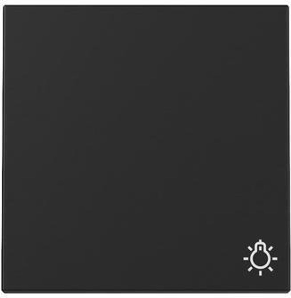 GIRA Wippe 3285005 Symb.Licht Sys.55 sw m (3285005)