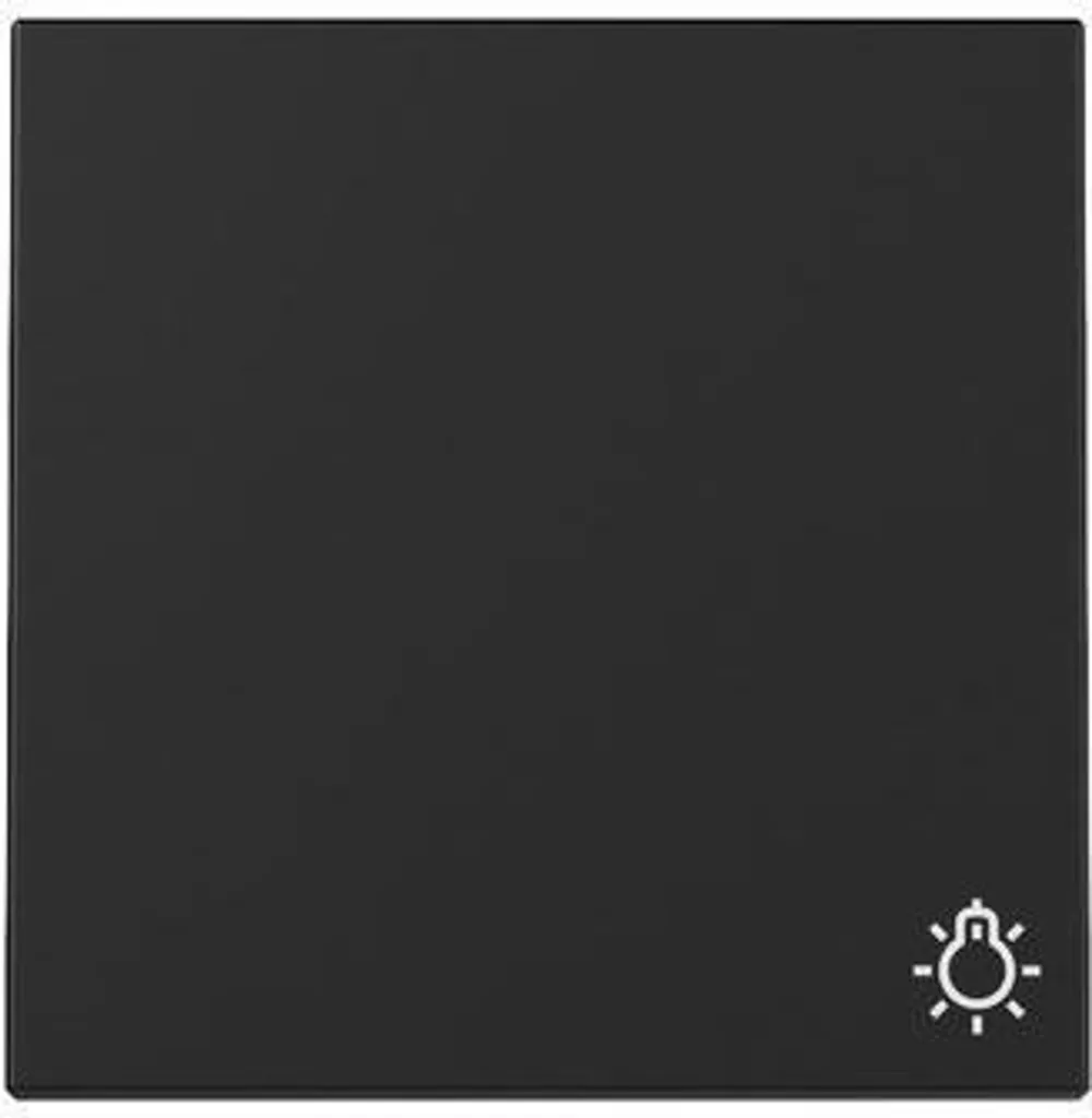 GIRA Bascule 3285005 Symbole Lumière System 55 Noir Mat - Interrupteur
