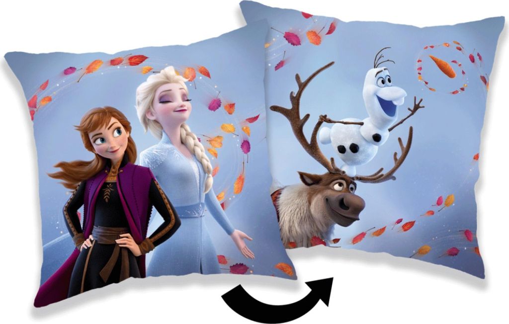 Kissen Frozen 2 Wind 02 40x40 cm