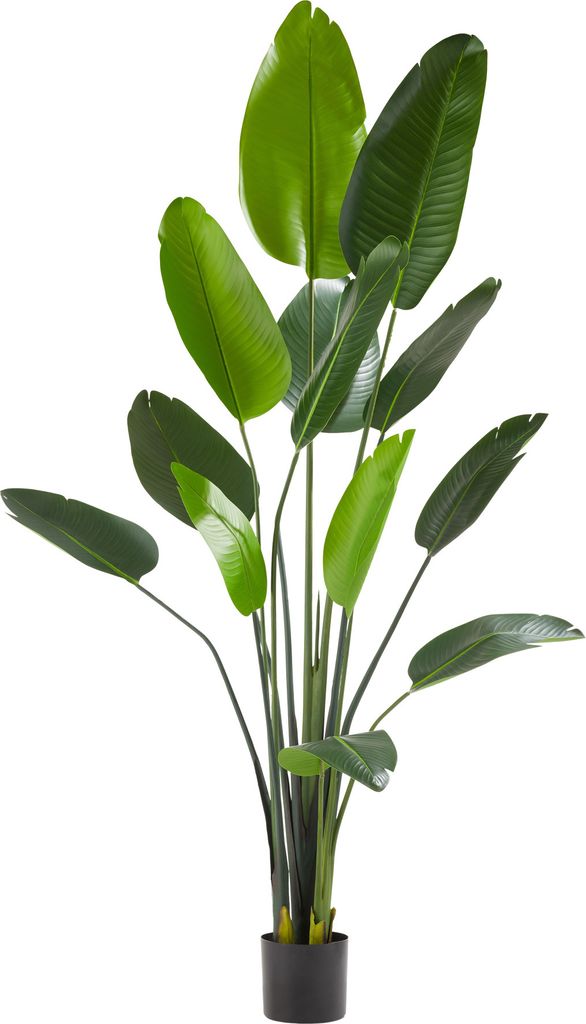 Umělý rajský pták Tropic, realistický - 180 cm Obrázek produktu 