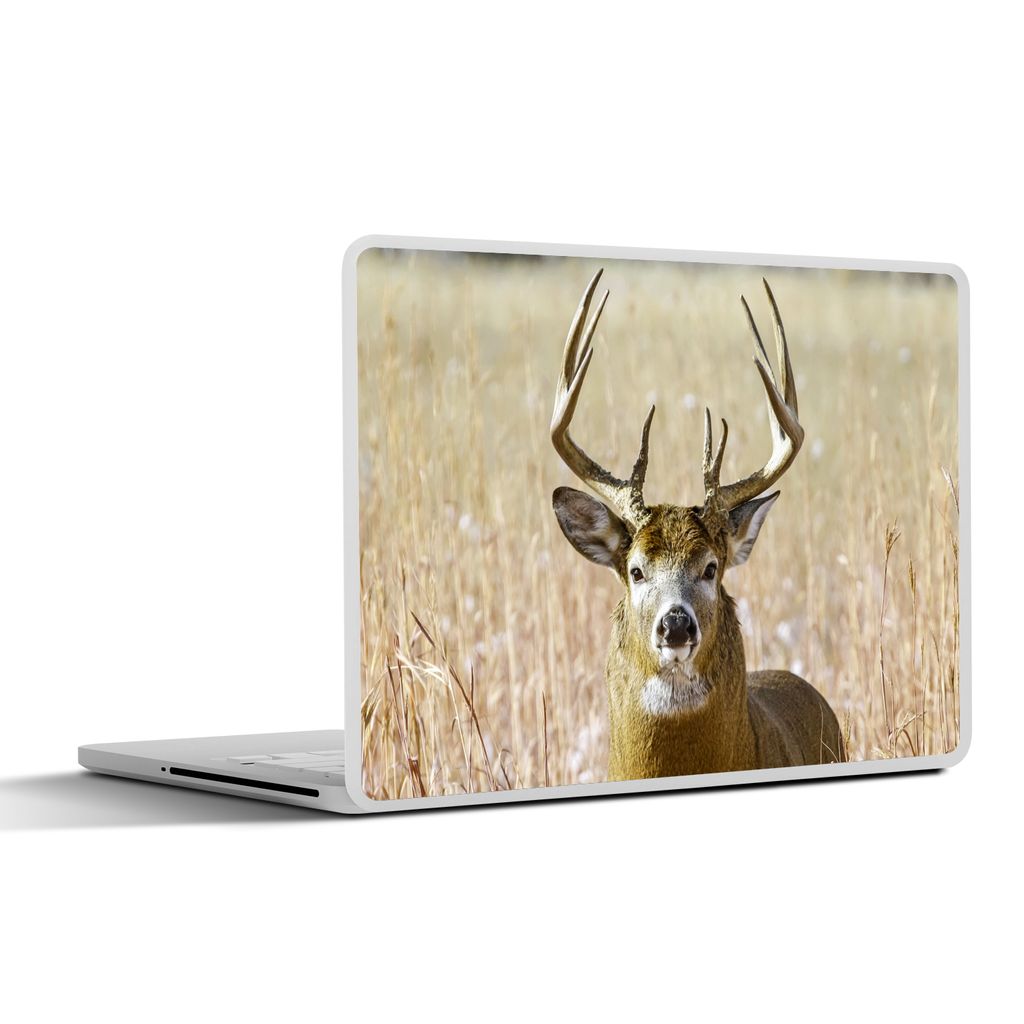MuchoWow Laptop Aufkleber Sticker Cover Hirsche - Gras - Herbst - Tiere - Natur - Geweih 32.5x23.5 cm - Sticker für Laptop - Selbstklebend