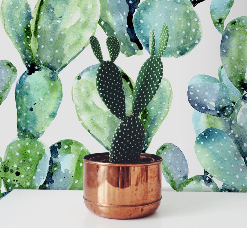 Coloray Fototapete 312x219 cm Latextapete Magicstick - Kaktus-Kakteen