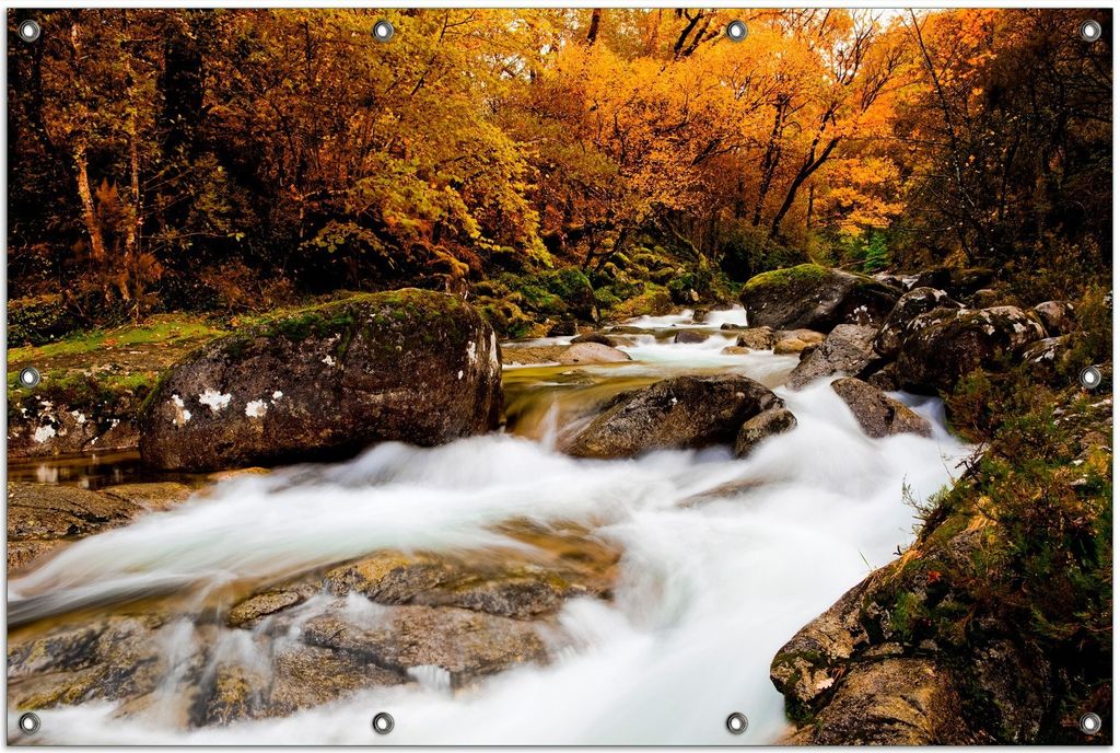 Wallario Outdoor-Poster für Garten oder Balkon, Motiv Fließender Bach im Herbstwald, in ca. 100 x 150 cm