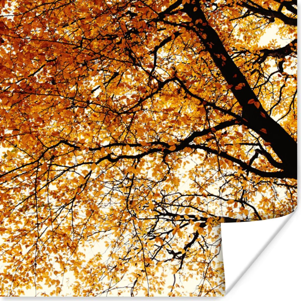 MuchoWow Poster Baum - Herbstblätter - Jahreszeiten - Rustikal 30x30 cm - Wandposter - Printing