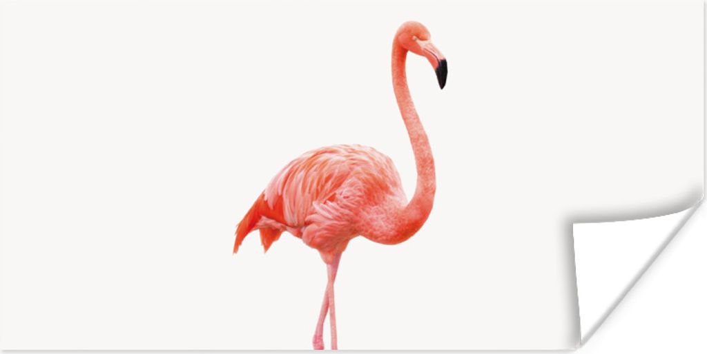 MuchoWow Poster Flamingo - Rosa - Vogel - Mädchen - Jungen - Kind 150x75 cm - ohne Rahmen