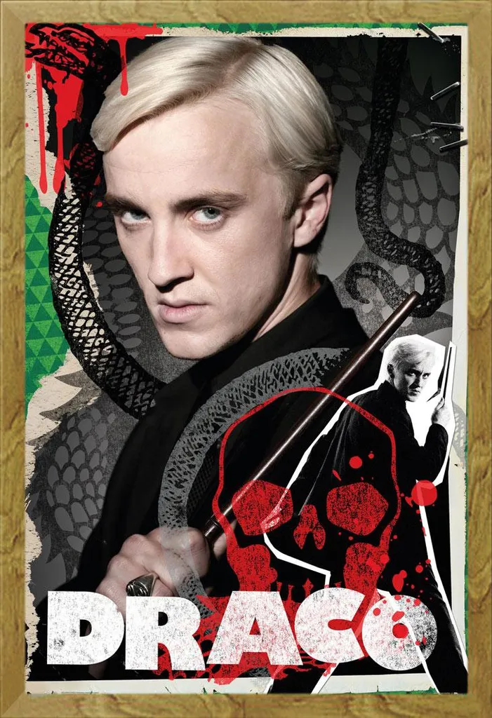 Poster Harry Potter Drago Malefoy avec Cadre Shinsuke Chêne Maxi MDF