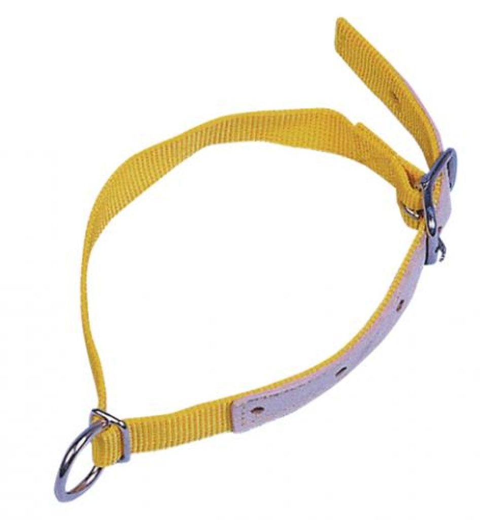 Ziegen-Schaf-Halsband aus Nylon Produktbild 