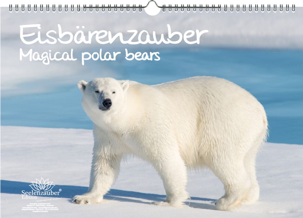 Eisbärenzauber DIN A3 Kalender - Immerwährender Kalender Eisbär - Seelenzauber