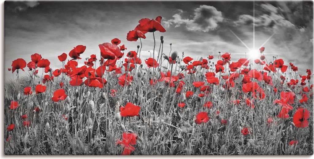 ARTland Leinwandbild Idyllisches Mohnblumenfeld mit Sonne Größe: 40x20 cm