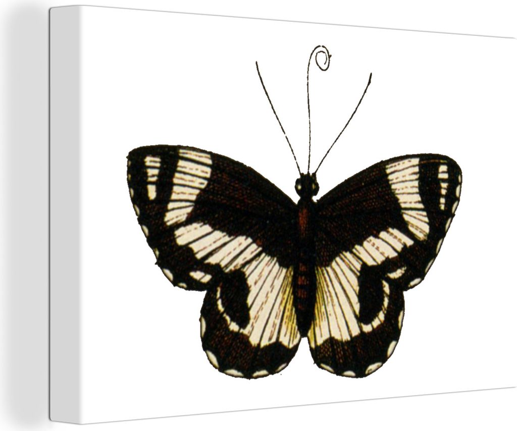 MuchoWow - Leinwandbilder - Vintage - Schmetterling - Schwarz - Weiß, Wandbild, Wanddeko Bilder Wohnzimmer, 90x60 cm