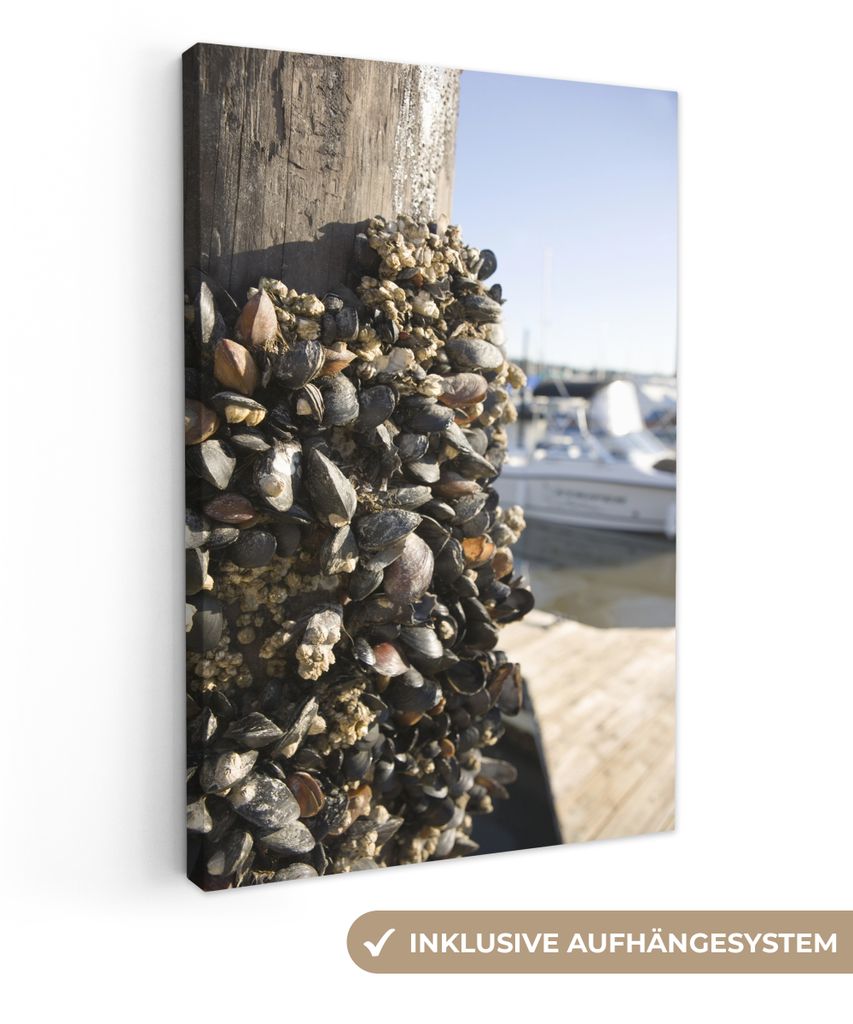 OneMillionCanvasses - Leinwandbilder - 90x140 cm, Muscheln auf einer Holzstange, Wandbilder Kunstdruck Wanddekoration - Foto auf Leinwand - Gemä...