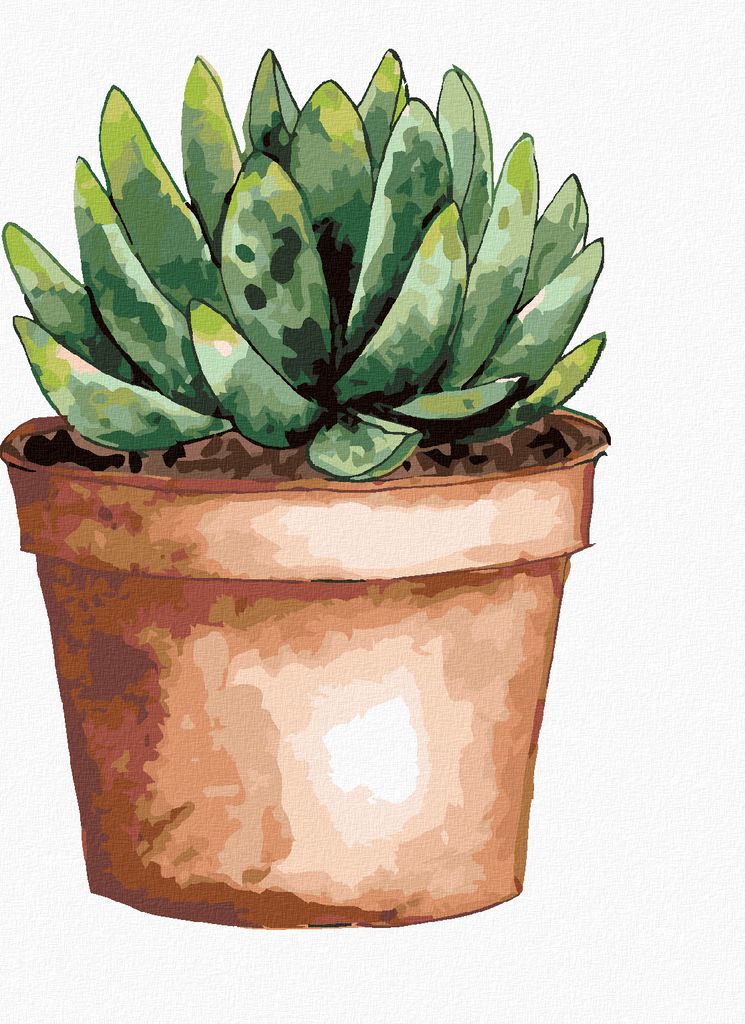 Zuty - Malen nach Zahlen - SUKKULENTE IN EINEM BRAUNEN TOPF (ALEXANDRIA GILBERT), 40x50 cm, mit Keilrahmen (bereits gespannt)