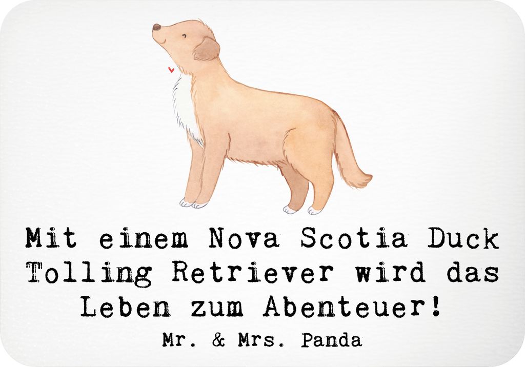 Mr. & Mrs. Panda magnet Nova Scotia Duck Abenteuer - Weiß - Geschenk, Toller, Hundesport, wandmagnet, Intelligenz, haftmagnet, Kühlschrankmagnet,...