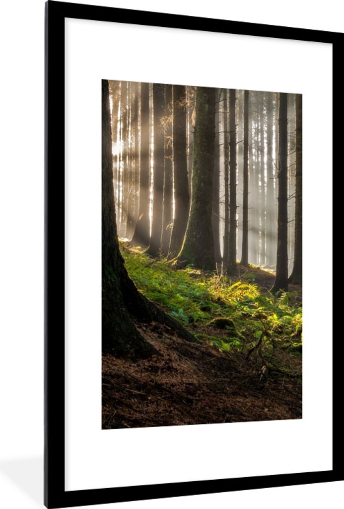 MuchoWow Gerahmtes Poster Sonne - Äste - Bäume - Wald - Natur 60x90 cm - Poster mit Schwarzem Bilderrahmen Wandposter Rahmen Foto Bilder - Deko...